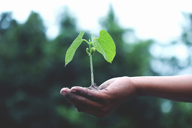 プライムは、国連の「持続可能な開発目標(SDGs)」に賛同し、
日々の事業を通じて、未来に誇れる社会づくりに取り組んでいます。
